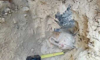 Mormântul picen descoperit în Sant’Elpidio a Mare