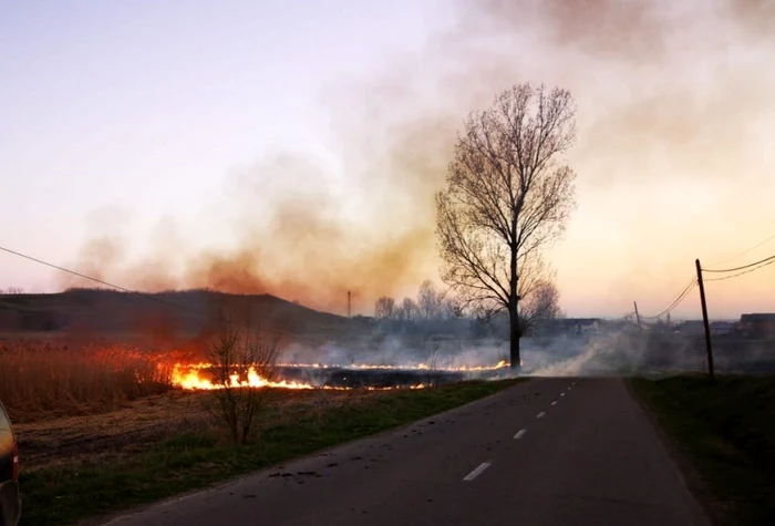 Din cauza secetei, incendiile se propagă foarte repede şi în fondul forestier. FOTO: ISU NEAMŢ