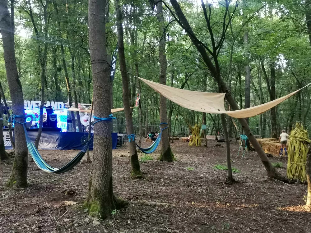 Codru Festival în Pădurea Bistra FOTO Ștefan Both