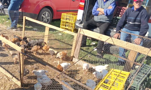 targ osica de sus miei de paste 2024 (15) jpg