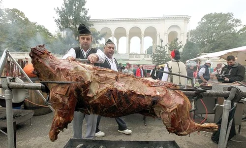vitel la protap festivalul haiducilor bucatar jpeg