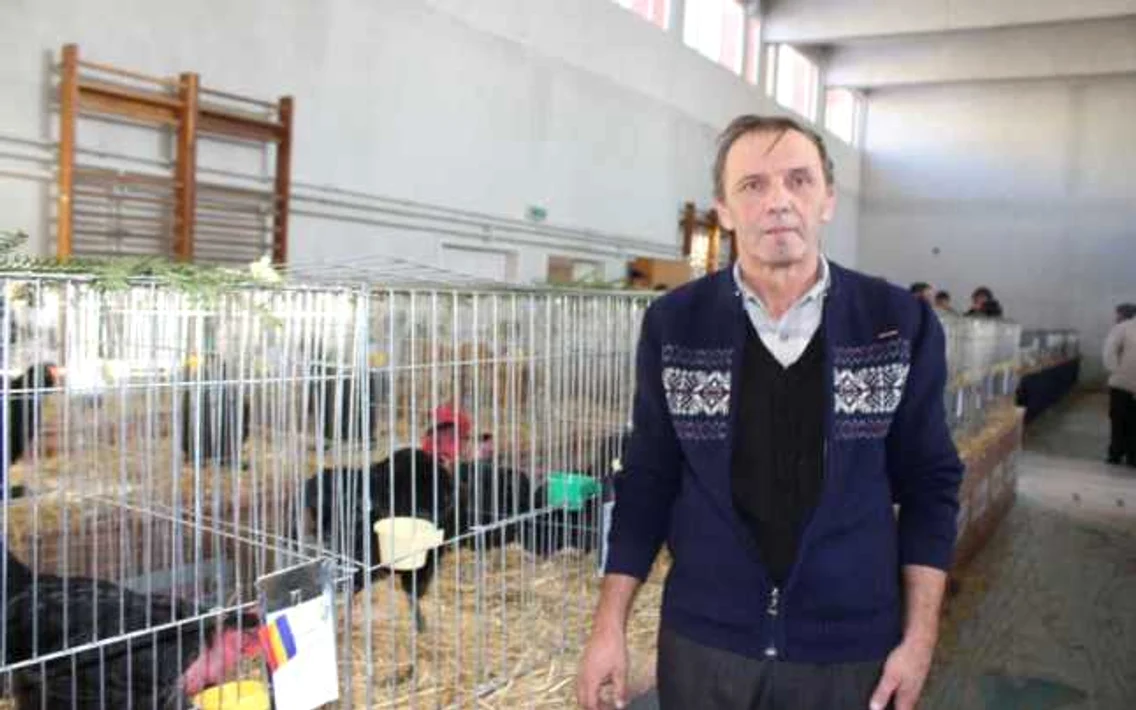  gat golas bistrita 5