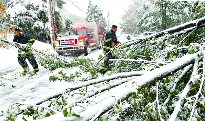 Vântul a doborât  copacii de  pe străzi