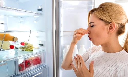 2 miros in frigider jpg jpeg