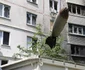 Razboi Ucraina Rusia 24 iunie 2022 ucrainieni coboara o bomba rusesca neexplodata de pe un bloc din Harkov FOTO EPA-EFE