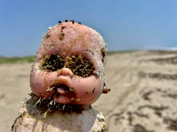 Păpușile apar pe plajă de un an de zile / FOTO: Facebook/Mission-Aransas Reserve