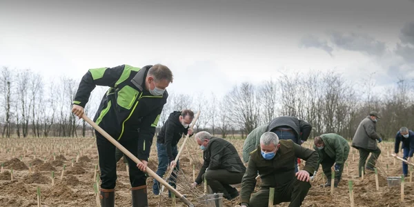 Iohannis planteaza copaci. Foto