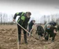 Iohannis planteaza copaci. Foto