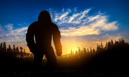 1 shutterstock 2039580788 jpg jpeg