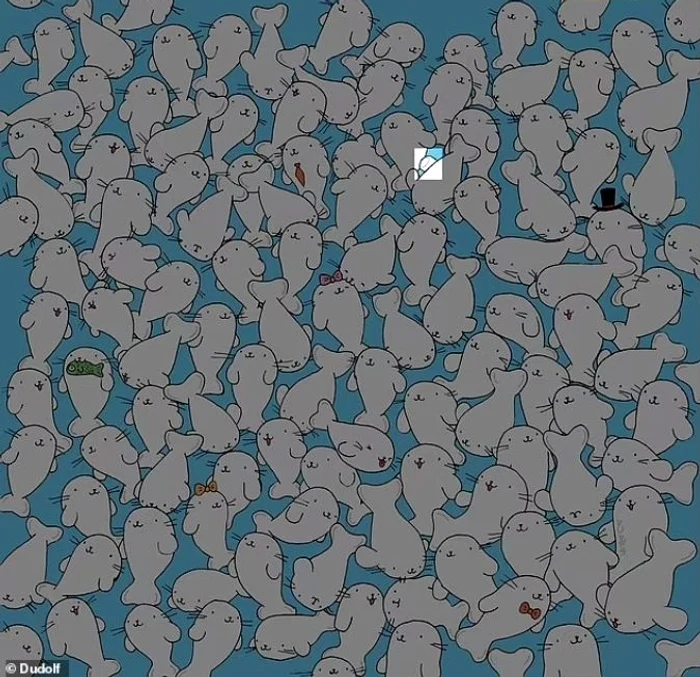 Rezolvarea provocării / foto: Dudolf