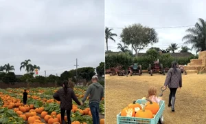 Meghan Markle, foto captura video Instagram  jpg