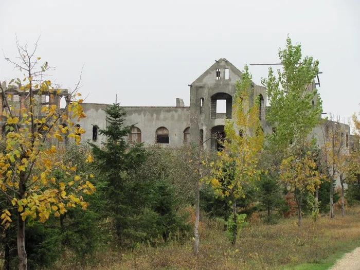 Conacul abandonat de la Păltiniş foto: M. I.