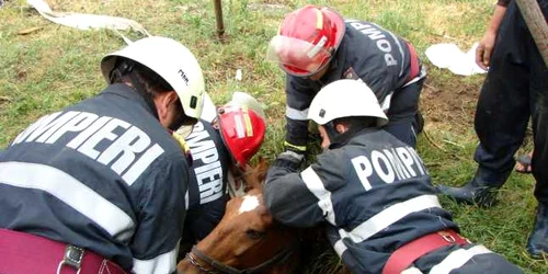 Misiunea de salvare a pompierilor a durat o jumătate de oră FOTO