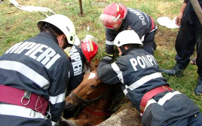 Misiunea de salvare a pompierilor a durat o jumătate de oră FOTO:adevarul