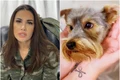 oana zavoranu catel jpeg