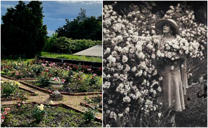 Regina Maria era supranumită și "regina grădinar". FOTO: Casa Regală