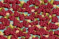 test jpg