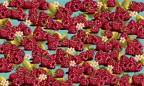 test jpg