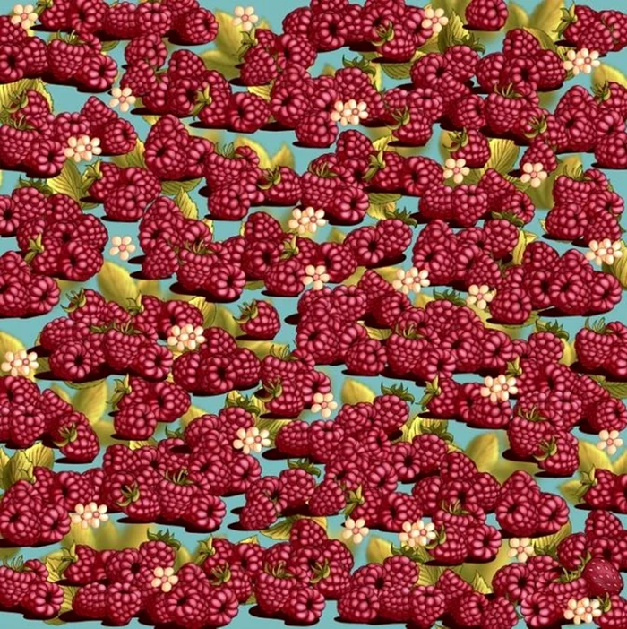 Testul trebuie rezolvat în doar 12 secunde