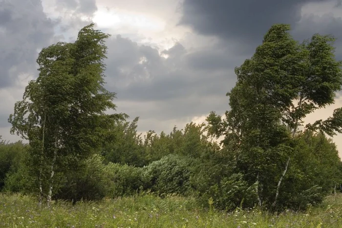 ANM a emis Cod galben de vânt puternic pentru nouă judeţe. FOTO: Arhiva „Adevărul“