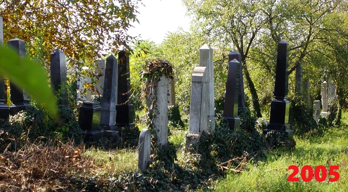 Cimitirul evreiesc de la Pecica FOTO arhivă Camelia Chifor 