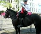 DSCN7174 JPG