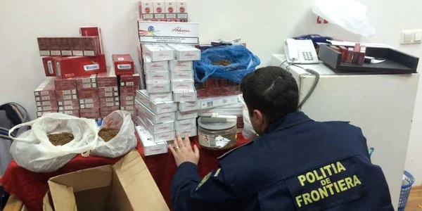 tigari confiscate mehedinti FOTO STPF Mehedinti 