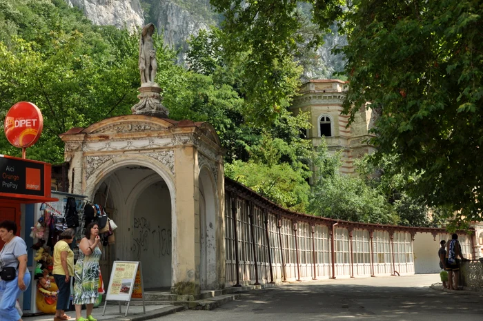 „O grădină a paradisului în variantă lowcost“   interviu cu regizorul Marius IACOB jpeg