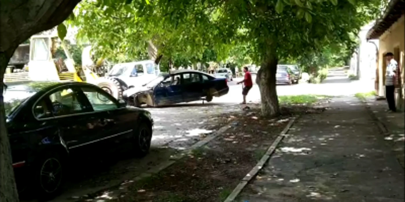 Rabla stătea de ani de zile la umbră, sub un copac