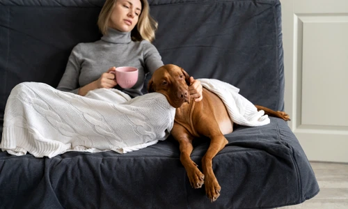 fat si caine_shutterstock 2041225049 jpg