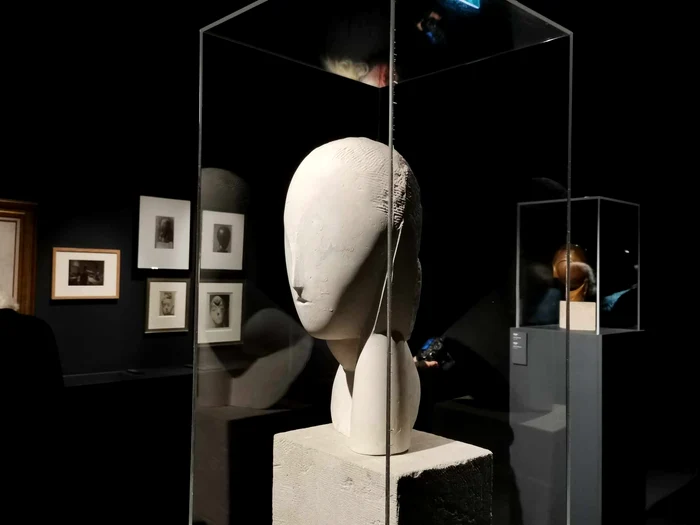 Expo Brâncuși la Timișoara FOTO Ștefan Both