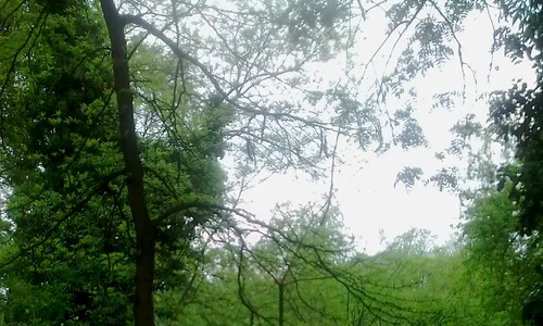 Parcul Cișmigiu jpeg