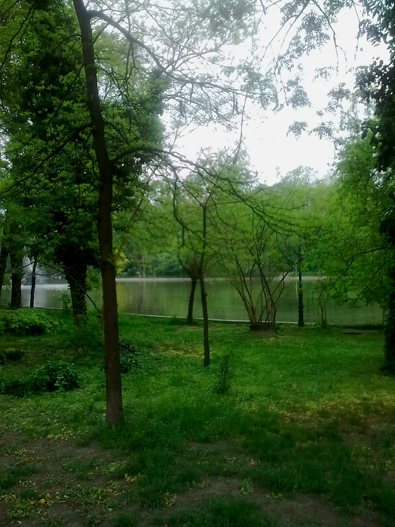 Parcul Cișmigiu jpeg