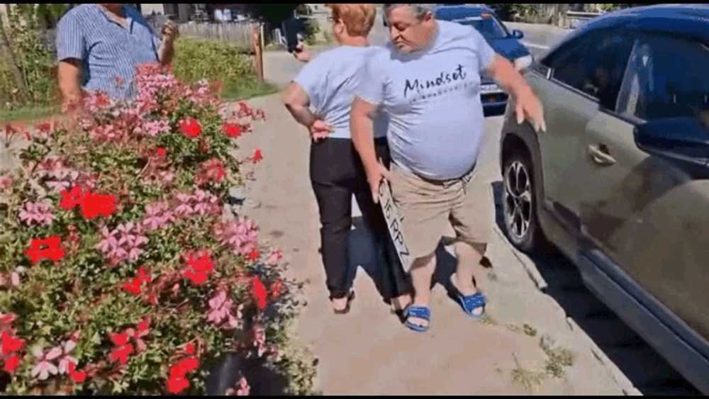 Ghinionul unui primar PSD, plecat la munte cu mașina Primăriei. Vacanța s-a încheiat după ce Poliția a descoperit că autoturismul nu avea RCA