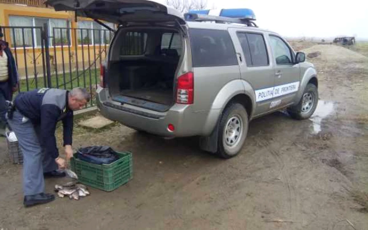 Întreaga cantitate de peşte a fost confiscată