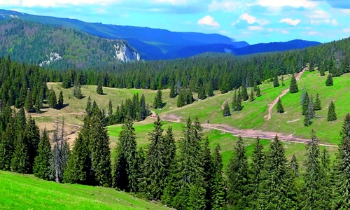 1 49895 original jpg jpeg