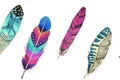 1 feather personality test jpg jpeg