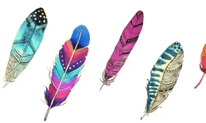 1 feather personality test jpg jpeg
