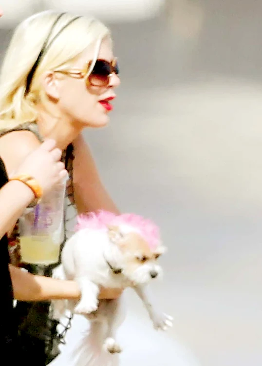 
    Tori a ieşit la plajă cu câinele şi fata vopsiţi în aceeaşi culoareFoto: Guliver/ Splashnews/ Reuters  