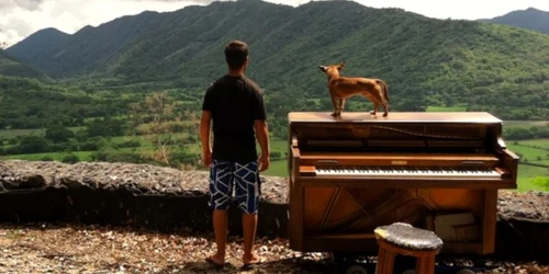 in jurul lumii foto wall street