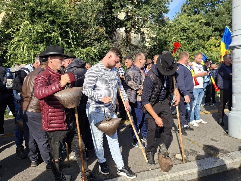 De ce 4.000 de români au protestat pentru oi și 60 pentru violență - ce îi scoate cu adevărat pe oameni în stradă