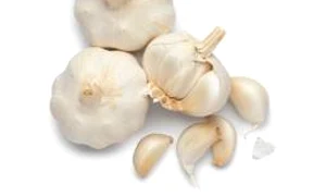 CLIIMA20101115 0084 1 jpeg