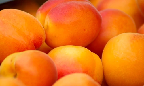 1 70060 original jpg jpeg