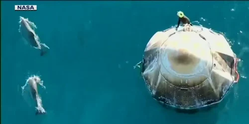 nasa delfini webp