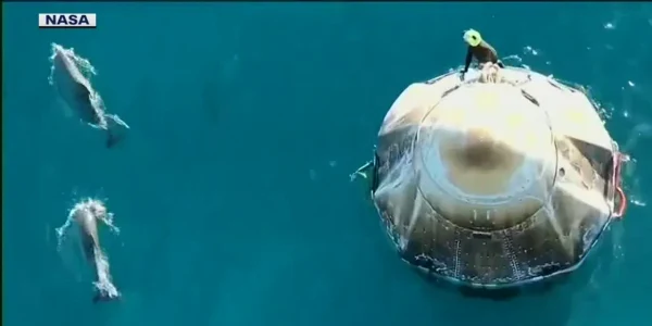 nasa delfini webp