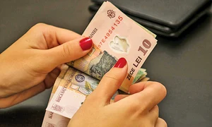 program 1 shutterstock 1971431645 jpeg