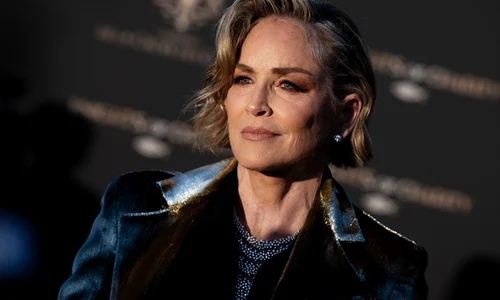 Sharon Stone, profimedia 1102082226 jpg
