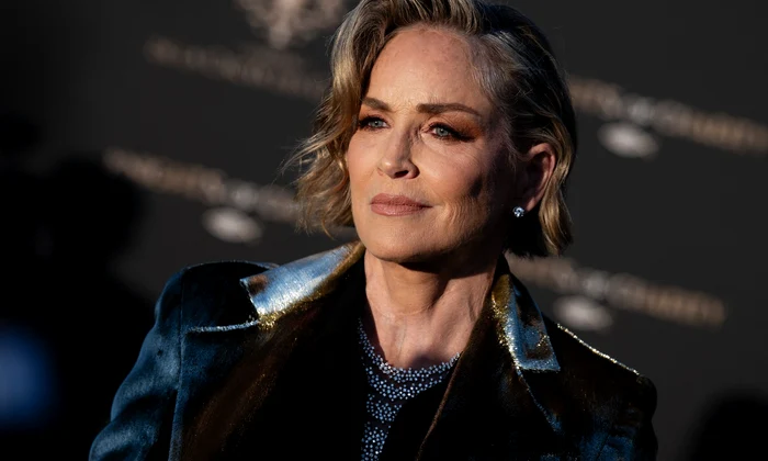 Sharon Stone, profimedia 1102082226 jpg