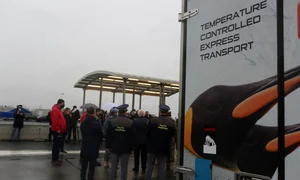 Furgoneta cu pinguini desenați pe caroserie, care a trecut prin vama Nădlac, aparține unei firme poloneze, SL Express jpeg