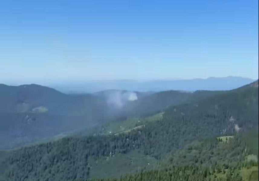 Incendiu de vegetație în Munții Țibleș. Focul a izbucnit într-o zonă greu accesibilă